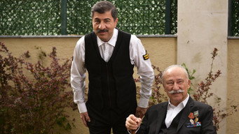 #4 Veda Partisi