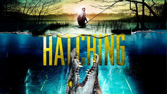 #4 The Hatching