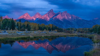 Wild Yellowstone (2015)