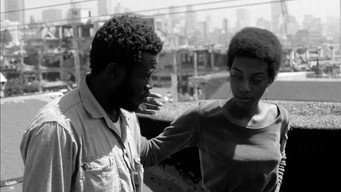 Bushman (1971)