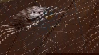 E.B. White's Charlotte's Web S01E02