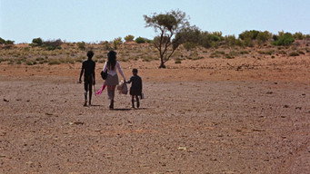 #50 Walkabout