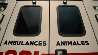 Ambulances animales - 2x01