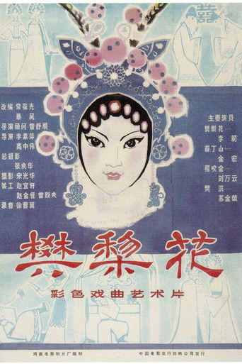 樊梨花 poster