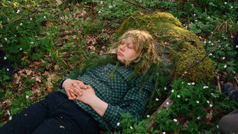 #14 Once Upon a Time in a Forest