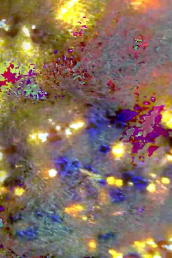 distortions, dystopias