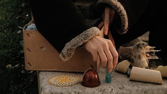 Збирачі і збирачка ... два роки по тому (2002)