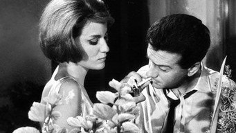 Horis taftotita (1963)