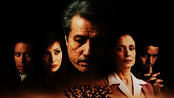 American Family (2002-2004)