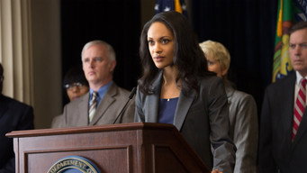 #51 Аудитор