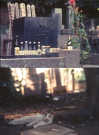 Tokyo, Late Summer (2012)
