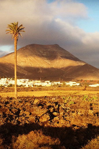 In the Shadows of Volcanoes poster