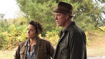 The Man in the High Castle