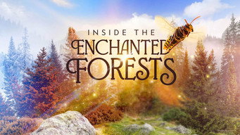 Inside the Enchanted Forests (2024- )