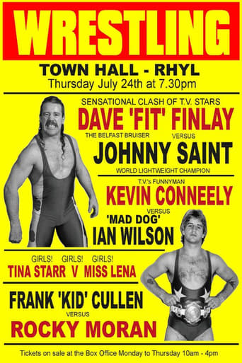 Poster of The Fit Finlays