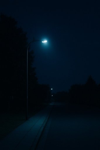 Hell of a Night (1970)
