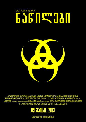Poster 4