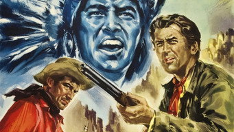 #13 Winchester '73