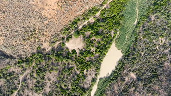 #8 Farmlands