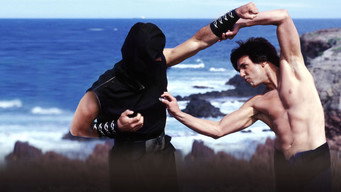 Kung Pow: Enter the Fist backdrop 3