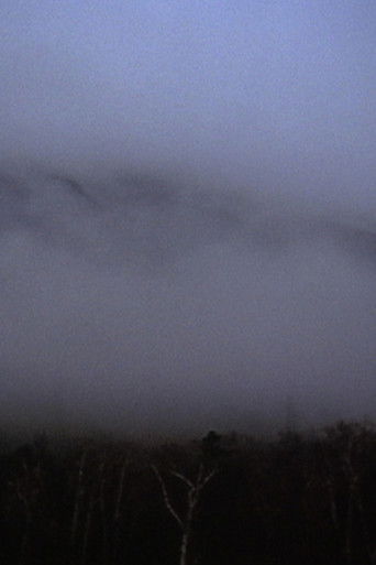 The Luminous Passage poster