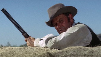 The Revengers (1972)