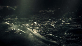 #53 Ірландець