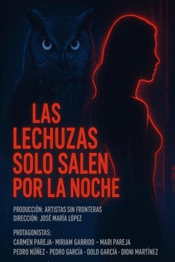 Las lechuzas solo salen de noche poster