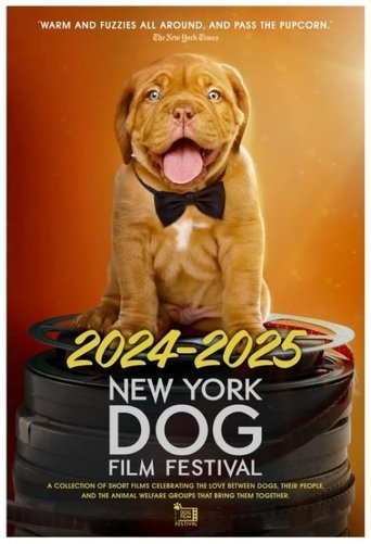 2024–2025 New York Dog Film Festival poster