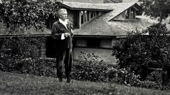Frank Lloyd Wright's Buffalo (2006)