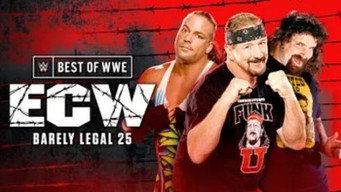 The Best of WWE T3E4