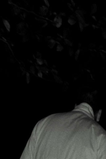 (sorcière japonaise) poster