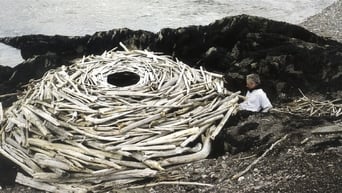 #1 Rivers and Tides: Andy Goldsworthy Working with Time