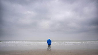Ocean with David Attenborough (2025)