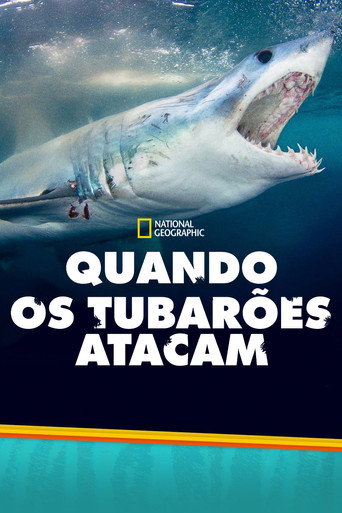 Temporada 4