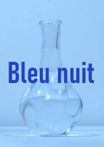 Bleu nuit poster