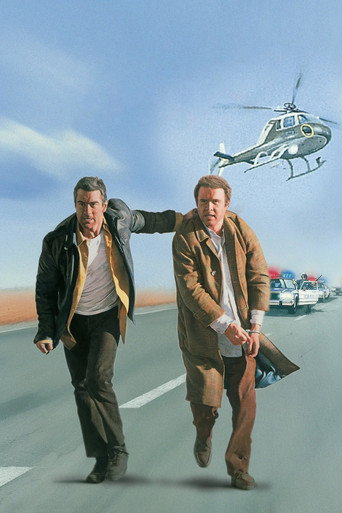 Poster 65