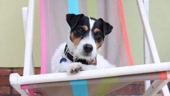 Here Comes Kalle (2006-2011)