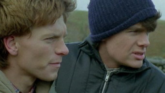 Accounts (1983)