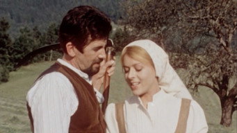 Blossoms in Autumn (1973)