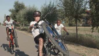 180cc media image