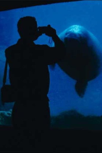 The Aquarium (2006)