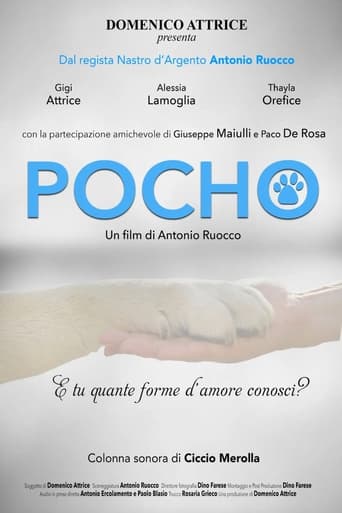 Poster of Pocho