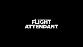 Flight Attendant (2024- )