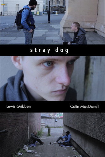 Stray Dog