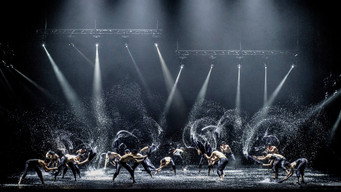 A Swan Lake (2014)