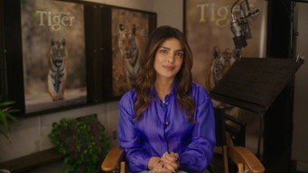 #4 Tiger