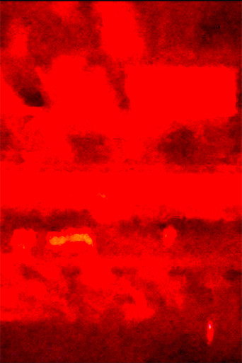 Where I Buried Him (2022)