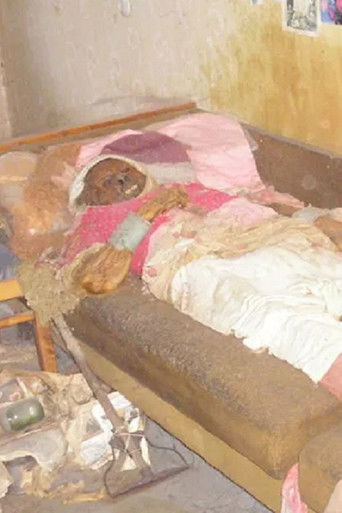 In Search Of Valentina Abramova poster