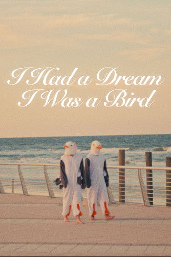 Cartell de I Had a Dream I Was a Bird